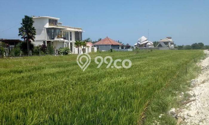 Dijual Tanah di Badung, Luas 900m2 SHM Dijual Tanah di Badung, Luas 900m2 SHM