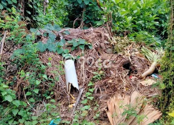 Tanah Dijual di Badung Seluas 460m2 Strategis Tanah Dijual di Badung Seluas 460m2 Strategis