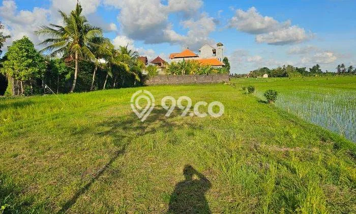 Dijual Tanah Lokasi Nyitdah, Tabanan Seluas 1700m2 Dijual Tanah Lokasi Nyitdah, Tabanan Seluas 1700m2