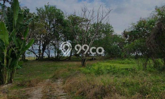 Tanah Dijual Area Strategis di Cemagi Badung 11000m2 Tanah Dijual Area Strategis di Cemagi Badung 11000m2