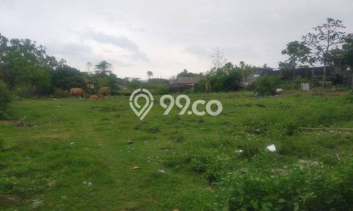 Dijual Tanah di Badung, Luas 1910m2 SHM Dijual Tanah di Badung, Luas 1910m2 SHM