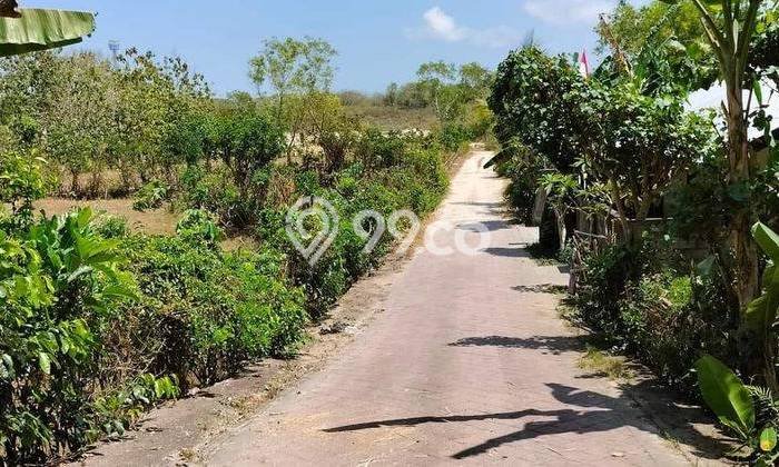 Kavling Tanah untuk Dijual di Kutuh, Bangli, Luas 8280m2 Kavling Tanah untuk Dijual di Kutuh, Bangli, Luas 8280m2