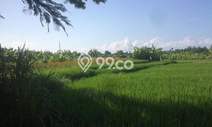Tanah Dijual Area Strategis di Seminyak Badung 4800m2 Tanah Dijual Area Strategis di Seminyak Badung 4800m2