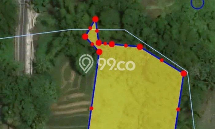 Kavling Tanah untuk Dijual di Nyitdah, Tabanan, Luas 3000m2 Kavling Tanah untuk Dijual di Nyitdah, Tabanan, Luas 3000m2
