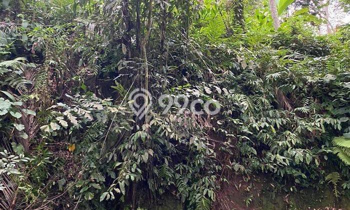 Tanah Dijual Lokasi Strategis di Gianyar dengan Luas 1200m2 Tanah Dijual Lokasi Strategis di Gianyar dengan Luas 1200m2