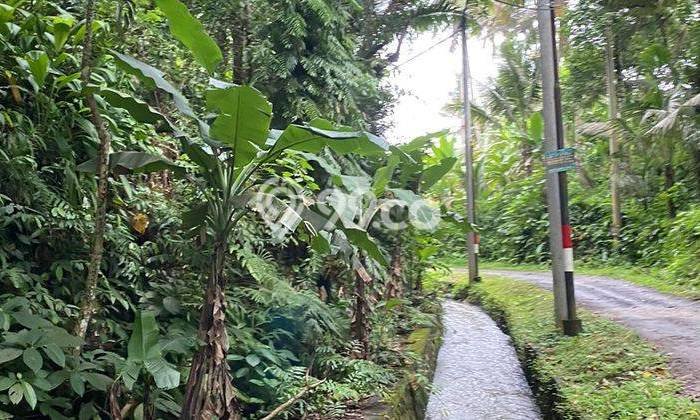 Tanah Dijual Lokasi Strategis di Gianyar dengan Luas 1200m2 Tanah Dijual Lokasi Strategis di Gianyar dengan Luas 1200m2