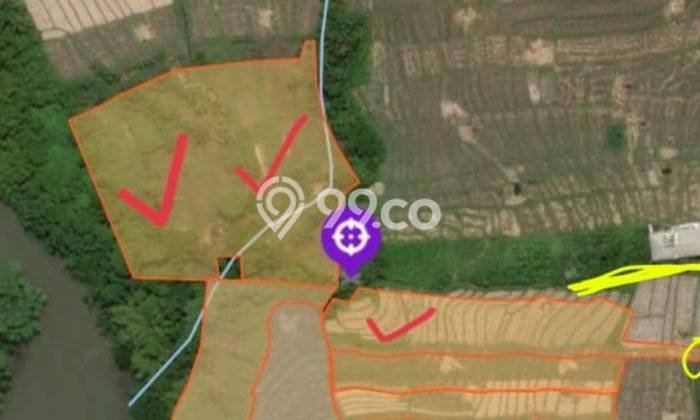 Tanah Dijual di Badung Seluas 13000m2 Strategis Tanah Dijual di Badung Seluas 13000m2 Strategis
