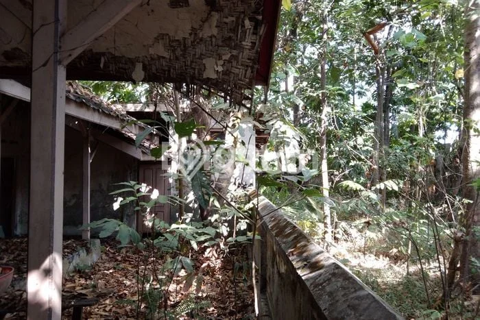 Kavling Tanah Disewakan di Klaten Tengah Klaten Luas 1345m2 Strategis Kavling Tanah Disewakan di Klaten Tengah Klaten Luas 1345m2 Strategis