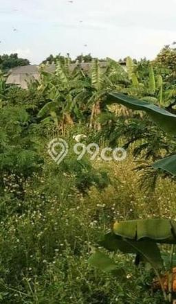 Kavling Tanah Dijual di Cikande Serang Spesifikasi 15770m2 Kavling Tanah Dijual di Cikande Serang Spesifikasi 15770m2