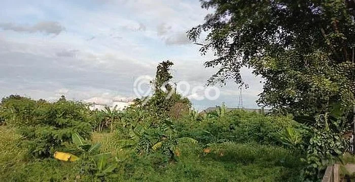 Kavling Tanah Dijual di Cikande Serang Spesifikasi 15770m2 Kavling Tanah Dijual di Cikande Serang Spesifikasi 15770m2