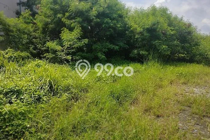 Kavling Tanah Dijual di Cikande Serang Spesifikasi 13000m2 Kavling Tanah Dijual di Cikande Serang Spesifikasi 13000m2