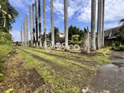 Kavling Tanah Dijual di Medan Selayang Medan Spesifikasi 2500m2 Kavling Tanah Dijual di Medan Selayang Medan Spesifikasi 2500m2