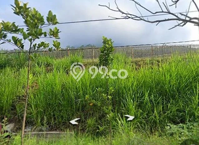 Dijual Tanah di Wonosari Malang Luas 51000m2 SHM Dijual Tanah di Wonosari Malang Luas 51000m2 SHM