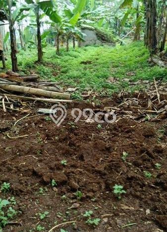Tanah Strategis Dijual di Cibadak Sukabumi 20000m2 Tanah Strategis Dijual di Cibadak Sukabumi 20000m2