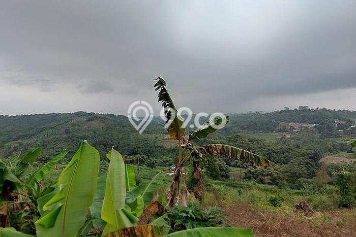 Tanah Dijual Lokasi Cibadak, Sukabumi Luas 126000m2 Legalitas Aman Tanah Dijual Lokasi Cibadak, Sukabumi Luas 126000m2 Legalitas Aman