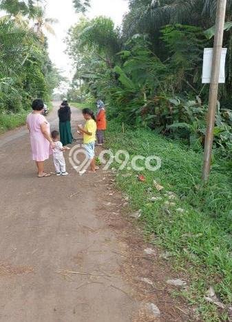 Lahan Kosong Dijual di Sawangan, Depok, Luas 2000m2 Area Strategis Lahan Kosong Dijual di Sawangan, Depok, Luas 2000m2 Area Strategis