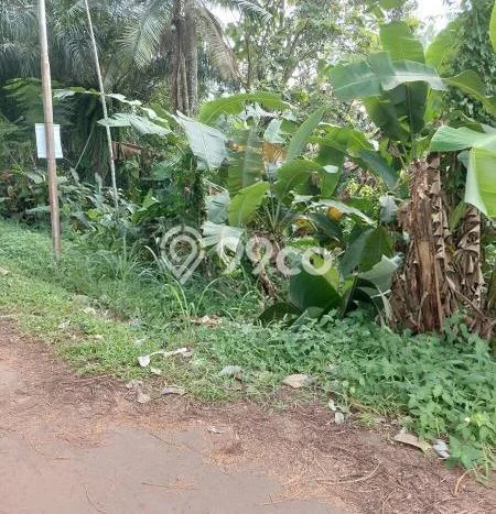 Lahan Kosong Dijual di Sawangan, Depok, Luas 2000m2 Area Strategis Lahan Kosong Dijual di Sawangan, Depok, Luas 2000m2 Area Strategis