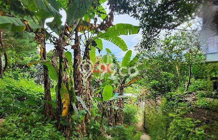 Dijual Tanah 1287m2 di Dago Pakar, Bandung Dijual Tanah 1287m2 di Dago Pakar, Bandung