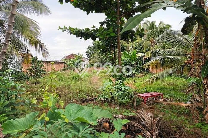Tanah untuk Dijual di Metro Pusat Metro Luas 1410m2 Tanah untuk Dijual di Metro Pusat Metro Luas 1410m2