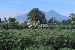 Tanah Kavling Dijual di Kedungbadak, Bogor dengan Luas Tanah 9198m2 Tanah Kavling Dijual di Kedungbadak, Bogor dengan Luas Tanah 9198m2