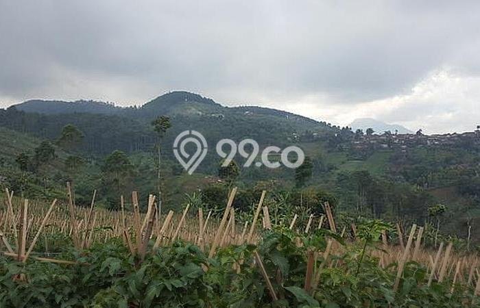 Lahan untuk Dijual Lokasi Coblong, Bandung Luas 40000m2 SHM Lahan untuk Dijual Lokasi Coblong, Bandung Luas 40000m2 SHM