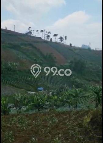 Lahan Investasi Lokasi Coblong Bandung SHM Lahan Investasi Lokasi Coblong Bandung SHM