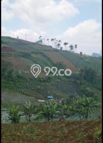 Lahan Investasi Lokasi Coblong Bandung SHM Lahan Investasi Lokasi Coblong Bandung SHM