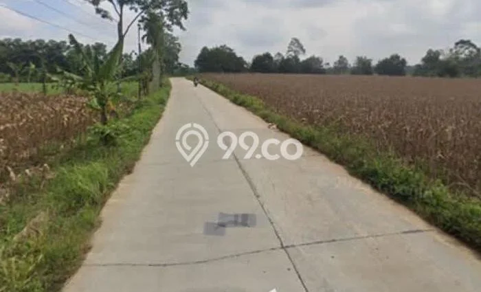Tanah Area Prospektif di Negeri Katon, Luas 10000m2m², Dekat ke Fasilitas Umum, Akses Negeri Katon, Pesawaran, Pesawaran Tanah Area Prospektif di Negeri Katon, Luas 10000m2m², Dekat ke Fasilitas Umum, Akses Negeri Katon, Pesawaran, Pesawaran