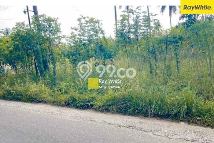 PROSPEKTIF! Tanah Kawasan , Luas 808m2m², Area Berkembang PROSPEKTIF! Tanah Kawasan , Luas 808m2m², Area Berkembang