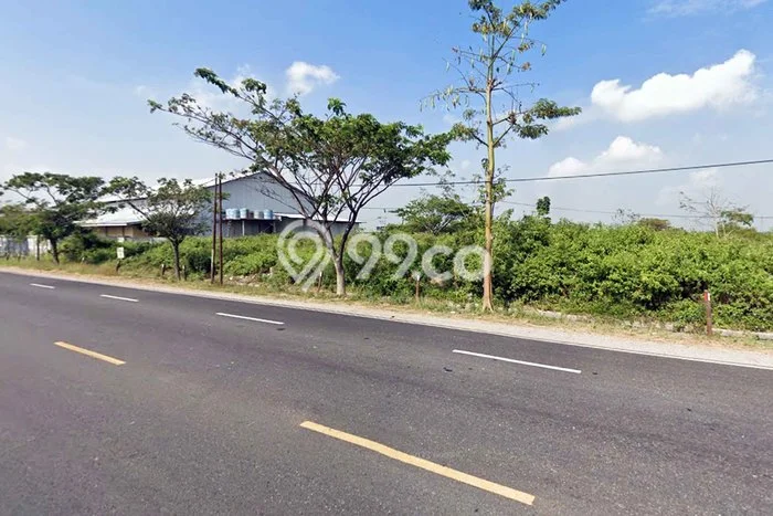 Tanah Kosong Dijual di Tuban dengan Area 40000m2 Tanah Kosong Dijual di Tuban dengan Area 40000m2