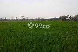 Tanah di Dramaga, Bogor Luas 3600m2 Dijual Segera Tanah di Dramaga, Bogor Luas 3600m2 Dijual Segera