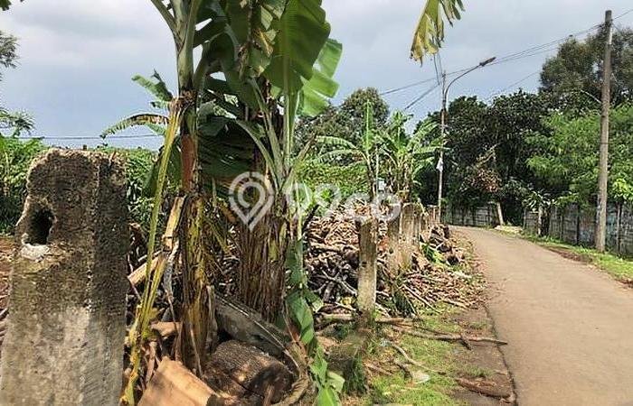Kavling Tanah Dijual di Bogor Selatan Bogor Spesifikasi 4367m2 Kavling Tanah Dijual di Bogor Selatan Bogor Spesifikasi 4367m2