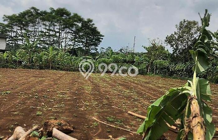 Kavling Tanah Dijual di Bogor Selatan Bogor Spesifikasi 4367m2 Kavling Tanah Dijual di Bogor Selatan Bogor Spesifikasi 4367m2