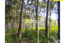 Kavling Tanah Dijual di Jati Agung, Lampung Selatan, Luas 1600m2 Area Strategis Kavling Tanah Dijual di Jati Agung, Lampung Selatan, Luas 1600m2 Area Strategis