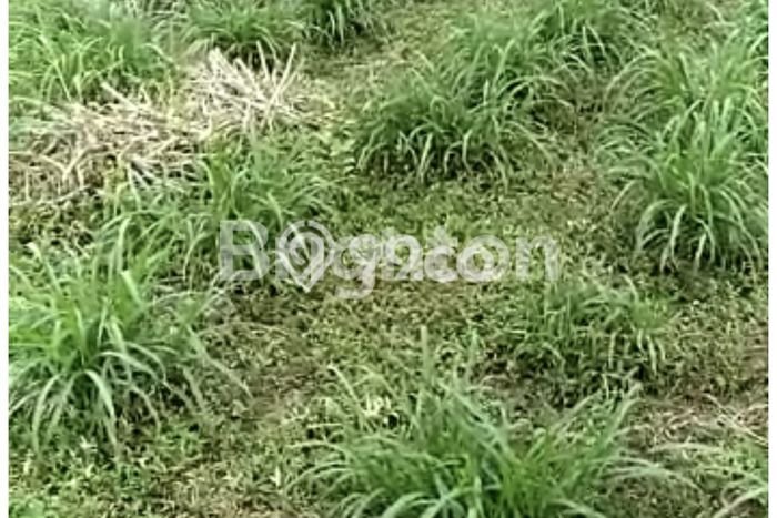 Kavling Tanah Dijual di Karanggede Boyolali Spesifikasi 552m2 Kavling Tanah Dijual di Karanggede Boyolali Spesifikasi 552m2