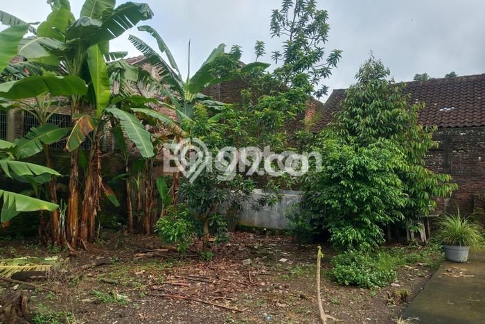 Tanah Siap Bangun Dijual di Boyolali Punya Luas 280m2 Tanah Siap Bangun Dijual di Boyolali Punya Luas 280m2