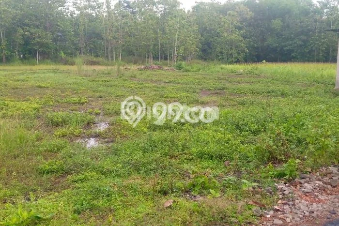 Untuk Dijual Tanah di Nguter Sukoharjo Luas 3358m2 SHM Untuk Dijual Tanah di Nguter Sukoharjo Luas 3358m2 SHM