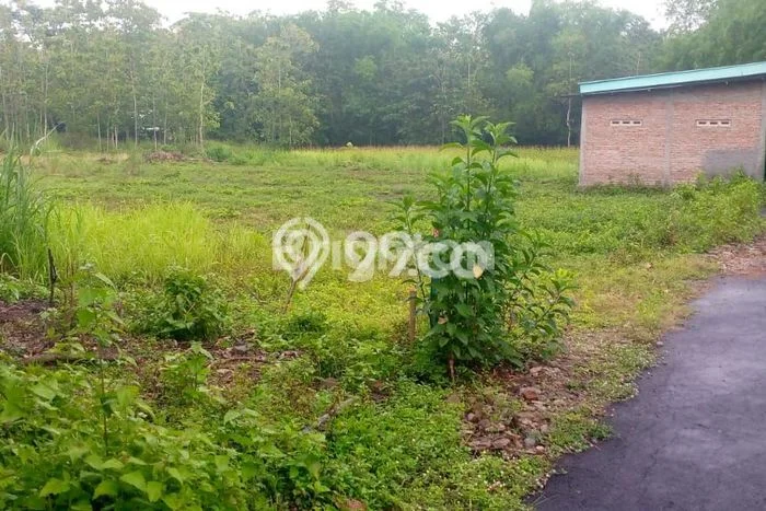 Untuk Dijual Tanah di Nguter Sukoharjo Luas 3358m2 SHM Untuk Dijual Tanah di Nguter Sukoharjo Luas 3358m2 SHM