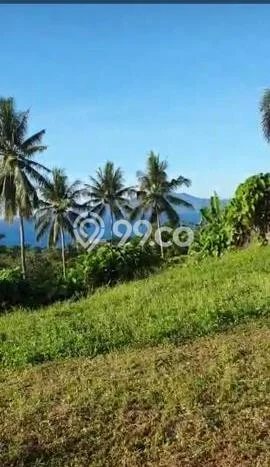 Lahan Dijual Lokasi Malalayang, Manado dengan Luas Tanah 1775m2 dan Status SHM Lahan Dijual Lokasi Malalayang, Manado dengan Luas Tanah 1775m2 dan Status SHM