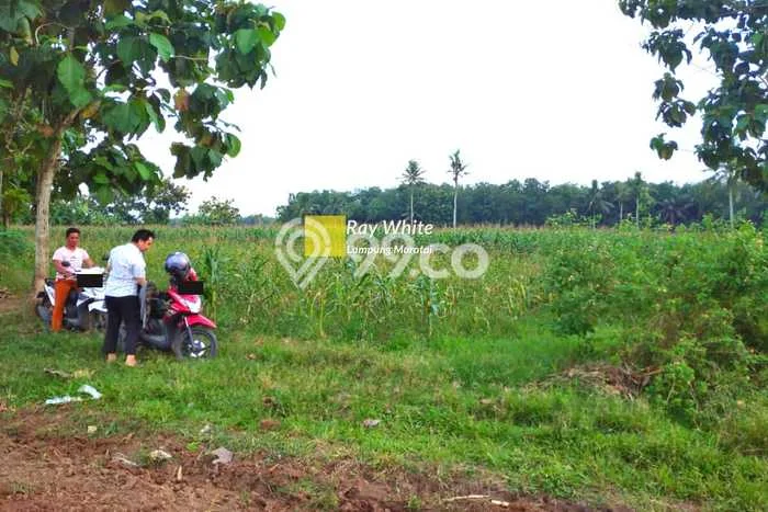 Lahan Kosong Dijual di Jati Agung, Lampung Selatan, Luas 6861m2 Area Strategis Lahan Kosong Dijual di Jati Agung, Lampung Selatan, Luas 6861m2 Area Strategis