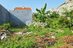 Kavling Tanah untuk Dijual di Semolowaru, Surabaya, Luas 300m2 Kavling Tanah untuk Dijual di Semolowaru, Surabaya, Luas 300m2