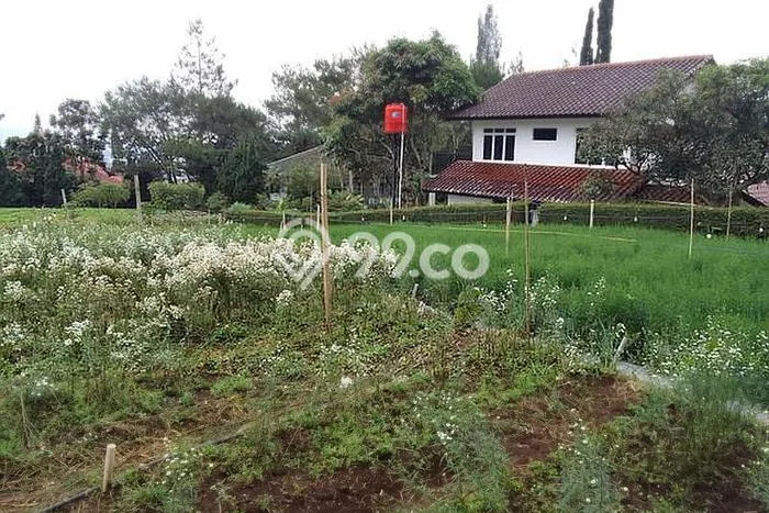 Lahan Dijual Lokasi Lembang, Bandung Barat dengan Luas Tanah 1040m2 dan Status SHM Lahan Dijual Lokasi Lembang, Bandung Barat dengan Luas Tanah 1040m2 dan Status SHM