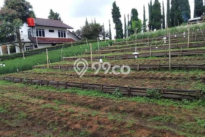 Lahan Dijual Lokasi Lembang, Bandung Barat dengan Luas Tanah 1040m2 dan Status SHM Lahan Dijual Lokasi Lembang, Bandung Barat dengan Luas Tanah 1040m2 dan Status SHM