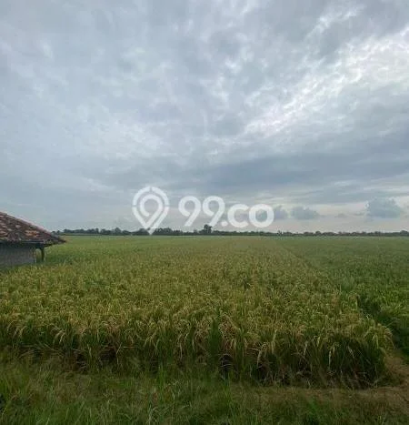 Tanah Kosong Dijual di Majalengka dengan Area 4622m2 Tanah Kosong Dijual di Majalengka dengan Area 4622m2