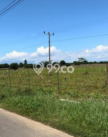 Tanah Kosong Dijual di Majalengka dengan Area 4622m2 Tanah Kosong Dijual di Majalengka dengan Area 4622m2