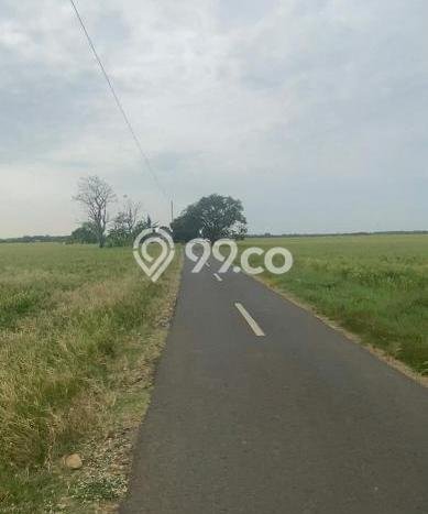 Tanah Kosong Dijual di Majalengka dengan Area 4622m2 Tanah Kosong Dijual di Majalengka dengan Area 4622m2