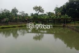 Tanah Dijual Lokasi Tapos, Depok Luas 3444m2 Legalitas Aman Tanah Dijual Lokasi Tapos, Depok Luas 3444m2 Legalitas Aman