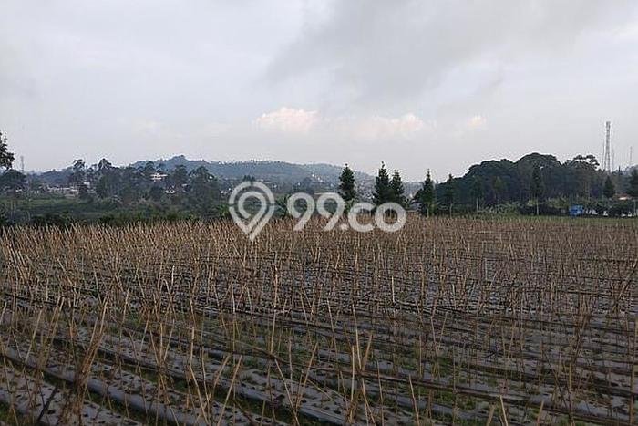Kavling Tanah Dijual di Lembang Bandung Barat Spesifikasi 14000m2 Kavling Tanah Dijual di Lembang Bandung Barat Spesifikasi 14000m2