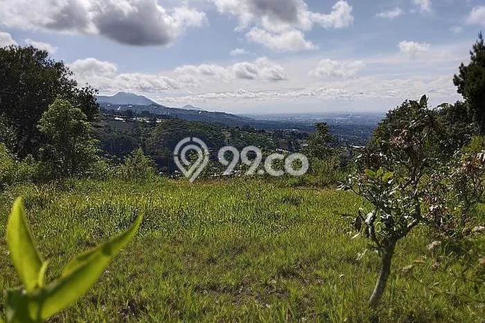Tanah Kavling di Lembang Dijual dengan Luas 13000m2 Tanah Kavling di Lembang Dijual dengan Luas 13000m2