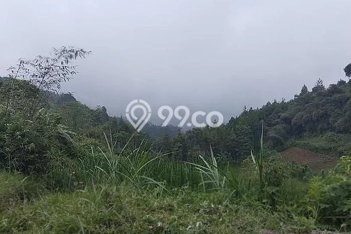 Tanah Kavling di Lembang Dijual dengan Luas 13000m2 Tanah Kavling di Lembang Dijual dengan Luas 13000m2